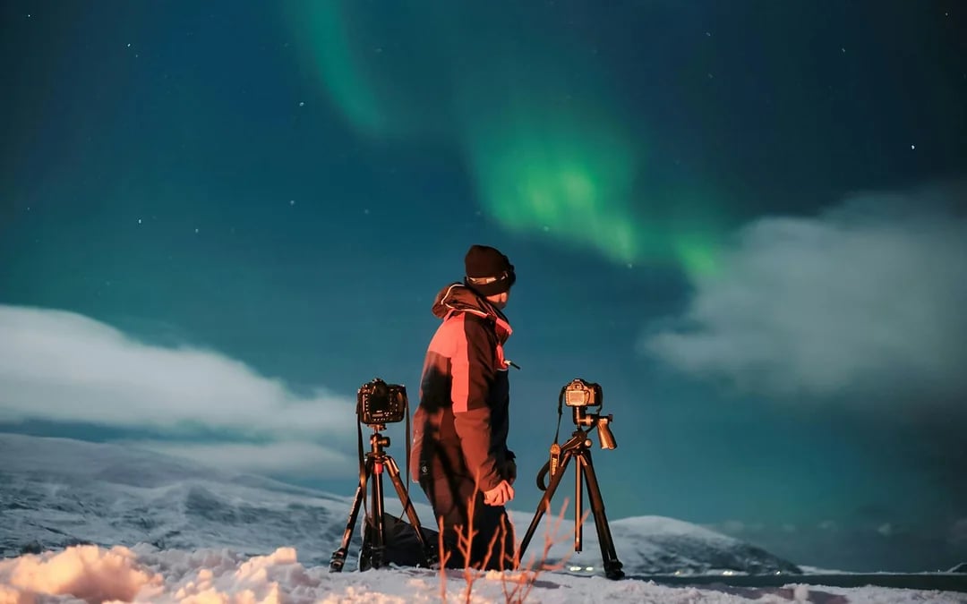 Tromsø: Northern Light Aurora Chase with Guide by Big Bus Image 4