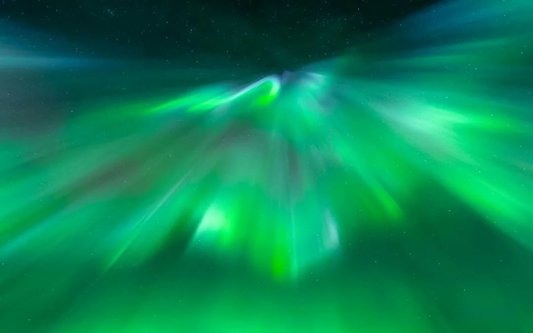 Tromsø: Northern Light Aurora Chase with Guide by Big Bus Image 5