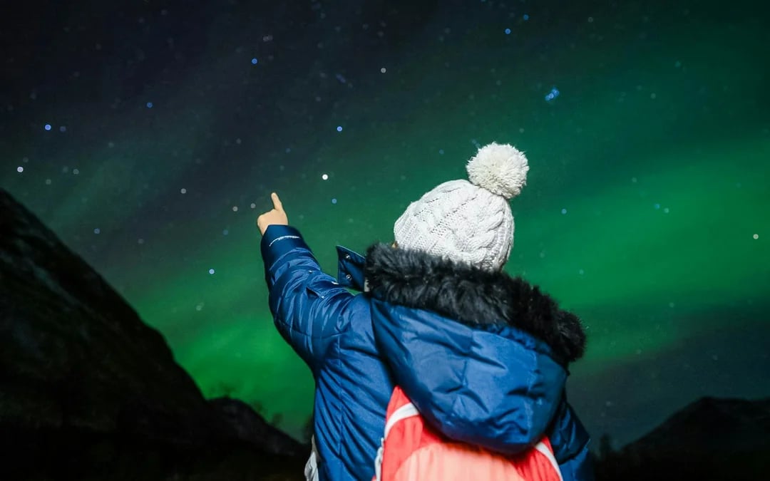 Tromsø: Northern Light Aurora Chase with Guide by Big Bus Image 7