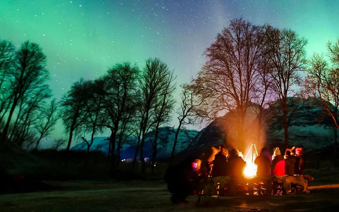 Tromsø: Northern Light Aurora Chase with Guide by Big Bus Image 8