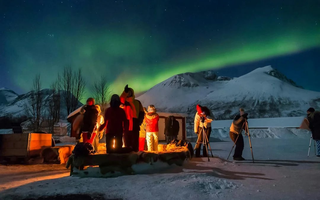 Tromsø: Northern Light Aurora Chase with Guide by Big Bus Image 9