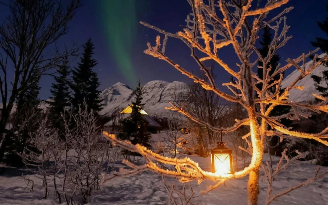 Tromsø: Northern Light Aurora Chase with Guide by Big Bus Image 10