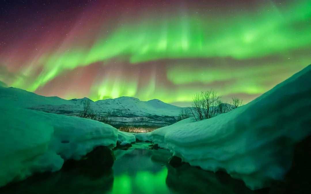 Tromsø: Northern Lights Chase Small-Group Tour with Aurora Guarantee Image 2