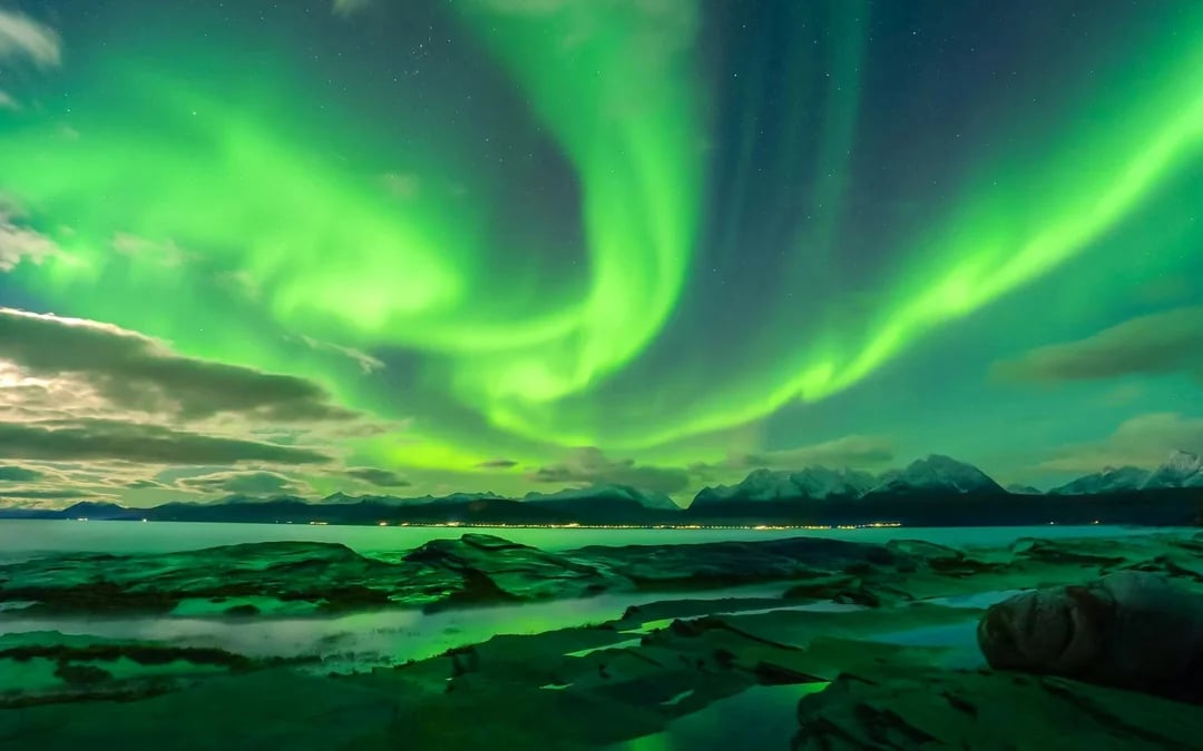 Tromsø: Northern Lights Chase Small-Group Tour with Aurora Guarantee Image 4