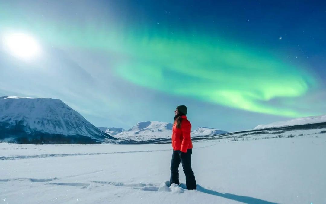 Tromsø: Northern Lights Chase Small-Group Tour with Aurora Guarantee Image 5