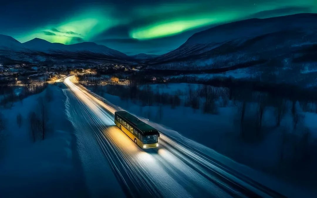Tromsø: Northern Lights Safari with Expert Guides in Multiple Languages and Photos Image 6