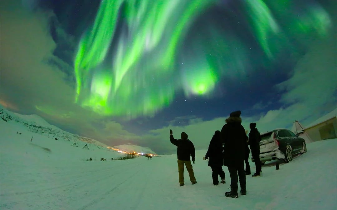Tromsø: Reindeer Farm Visit and Northern Lights Basecamp Visit Image 5