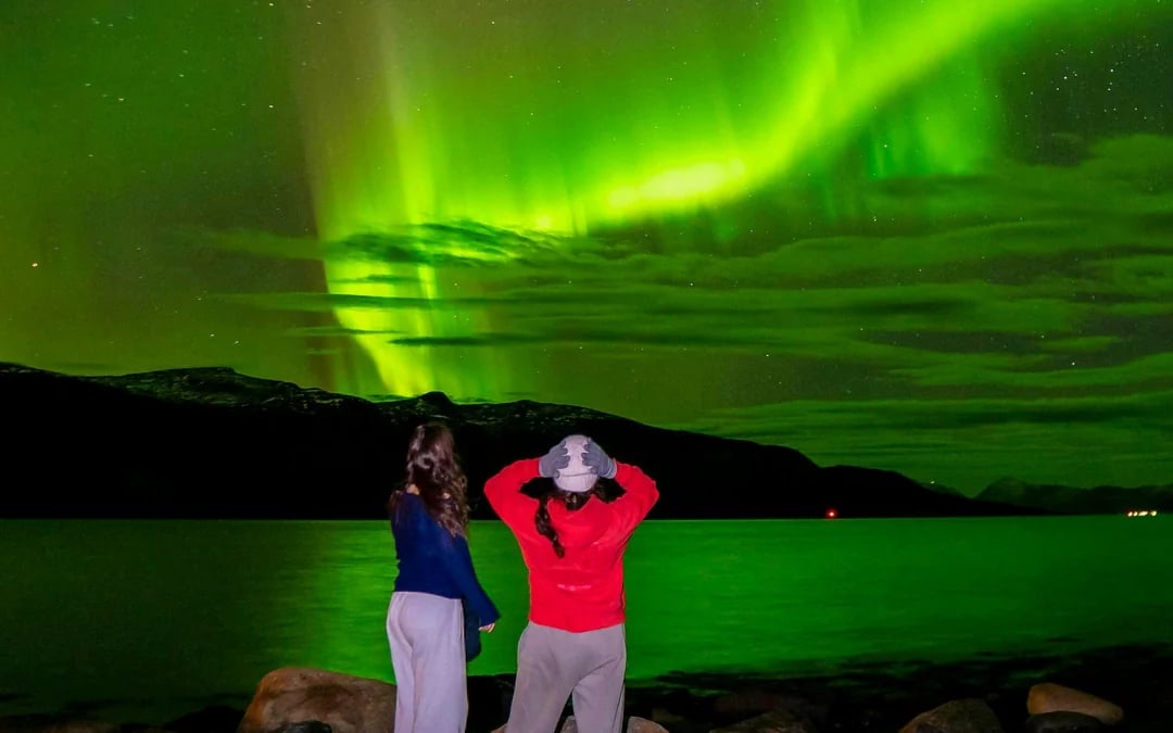 Tromsø: Reindeer Farm Visit and Northern Lights Basecamp Visit Image 6