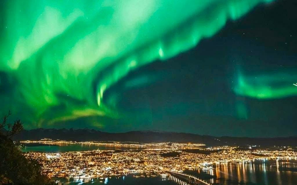 Tromsø: Reindeer Farm Visit and Northern Lights Basecamp Visit Image 7