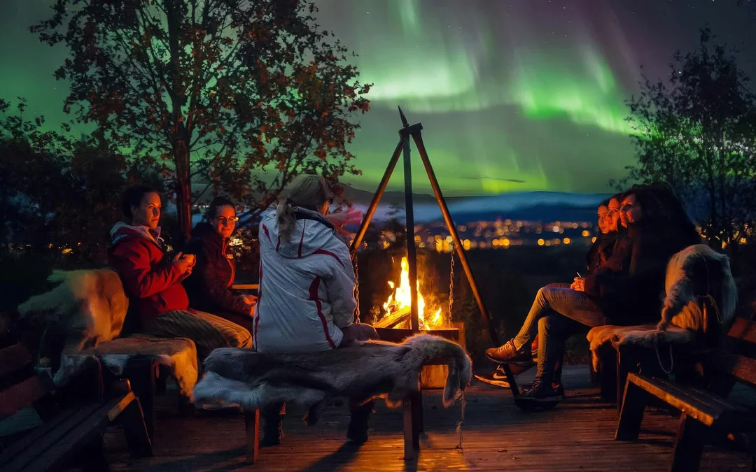Tromso: Northern Lights & Husky Visit with Traditional Dinner Image 3