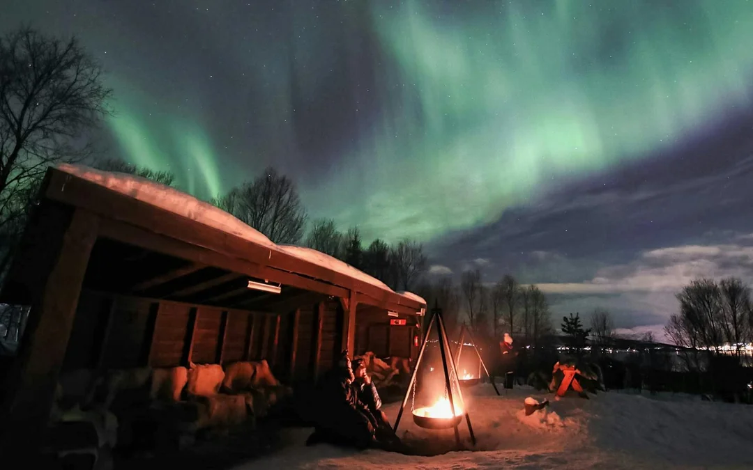 Tromso: Northern Lights & Husky Visit with Traditional Dinner Image 4