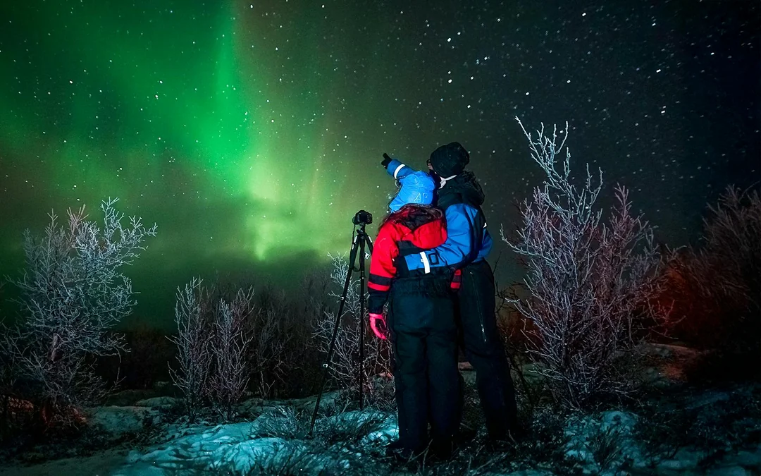 Tromso: Northern Lights Chase - Guaranteed Sightings & Unlimited Drive Image 1