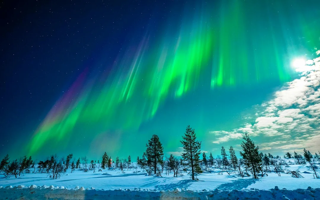Tromso: Northern Lights Chase - Guaranteed Sightings & Unlimited Drive Image 3