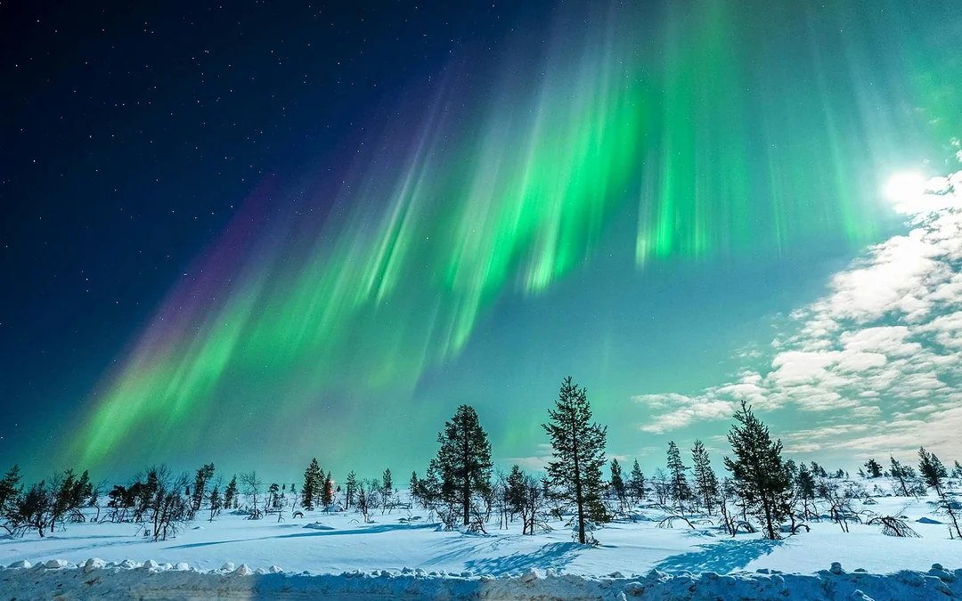 Tromso: Northern Lights Chase Tour Image 5