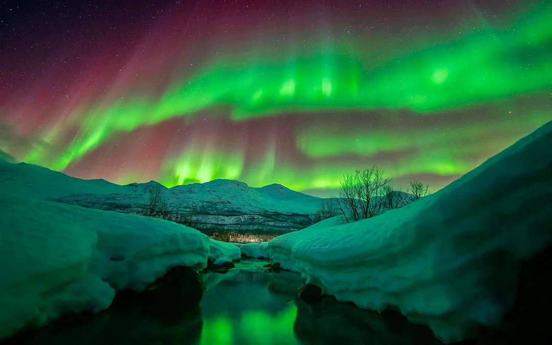Tromso: Northern Lights Photography Tour Image 4