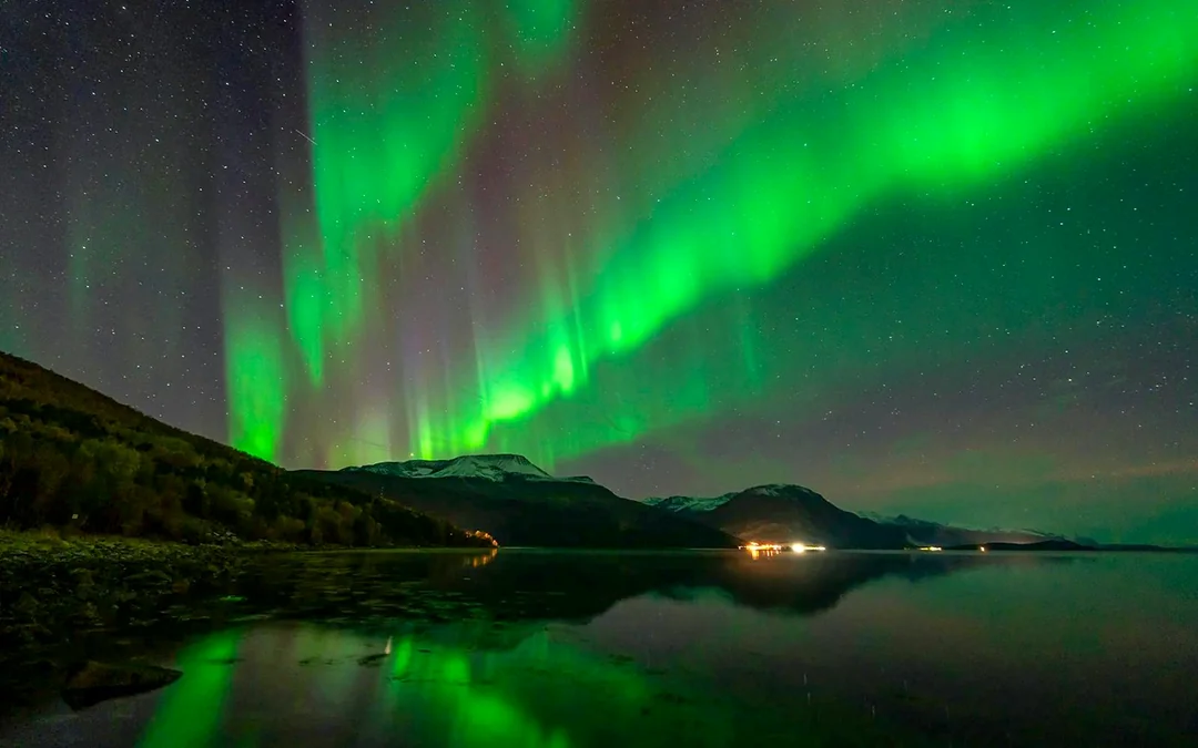 Tromso: Northern Lights Photography Tour Image 8