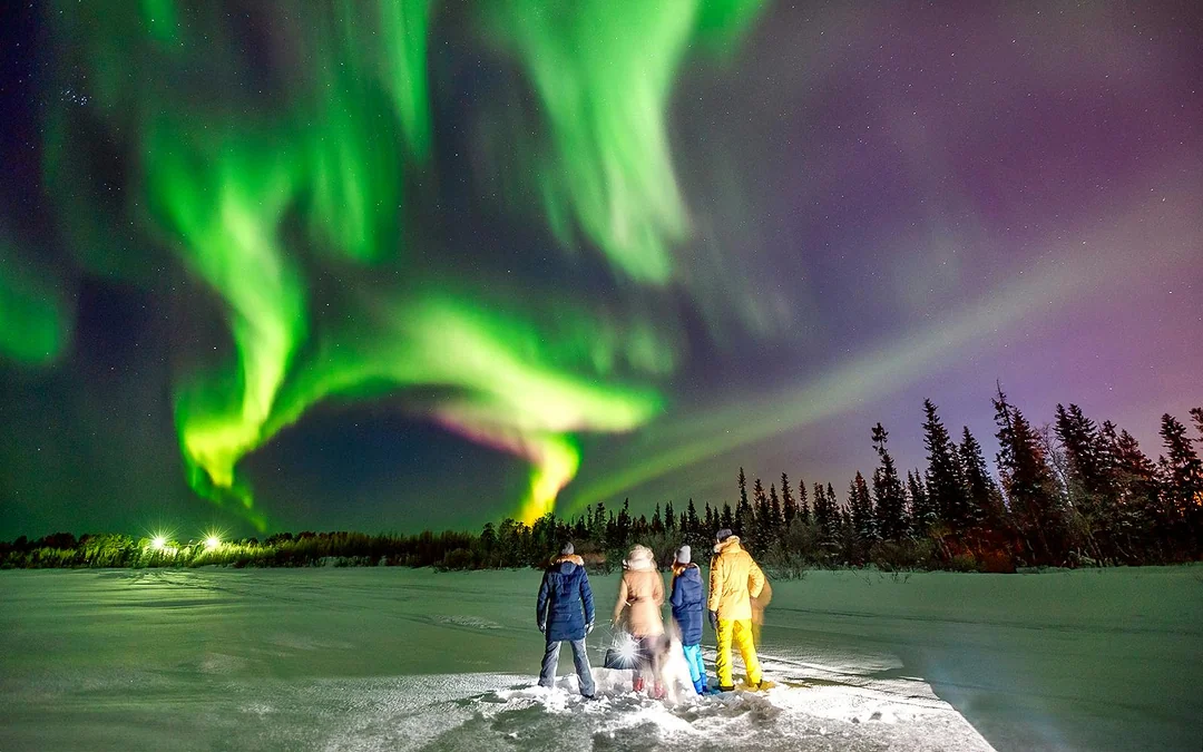 Tromso: Northern Lights Small Group Chase Tours Image 2