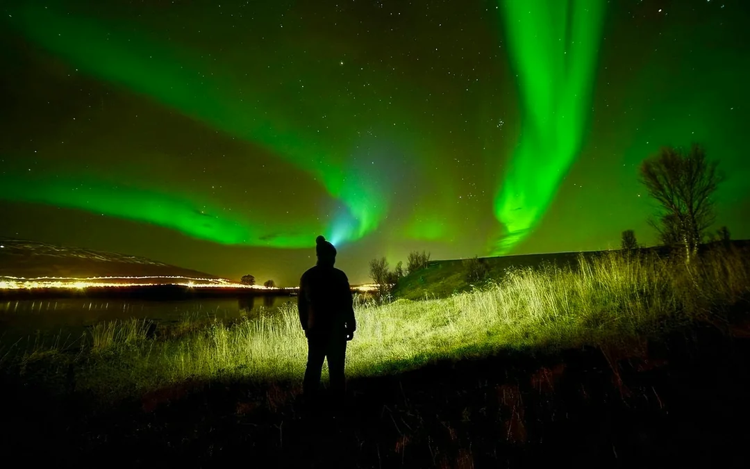 Tromso: Northern Lights Small Group Chase Tours Image 3