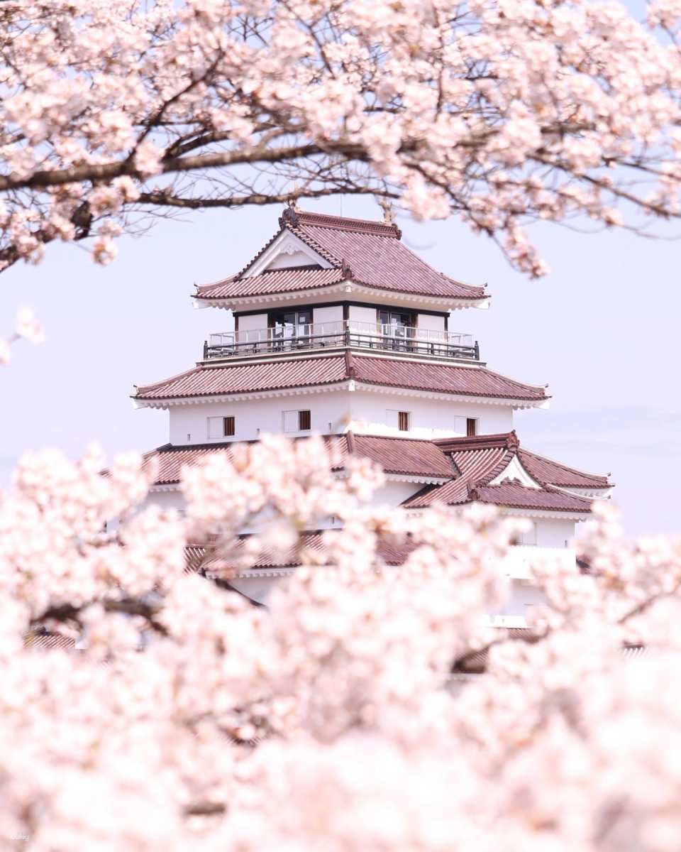[Instant Booking] Tsuruga Castle Admission Ticket (Castle Tower & Rinkaku Teahouse) in Fukushima | Japan