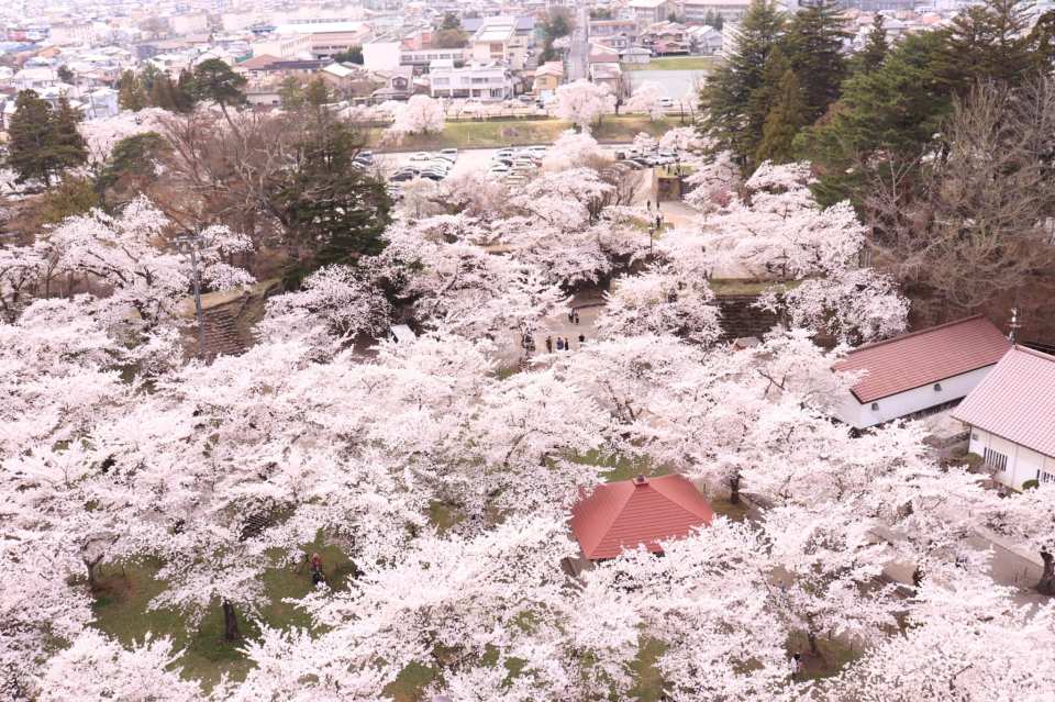 [Instant Booking] Tsuruga Castle Admission Ticket (Castle Tower & Rinkaku Teahouse) in Fukushima | Japan