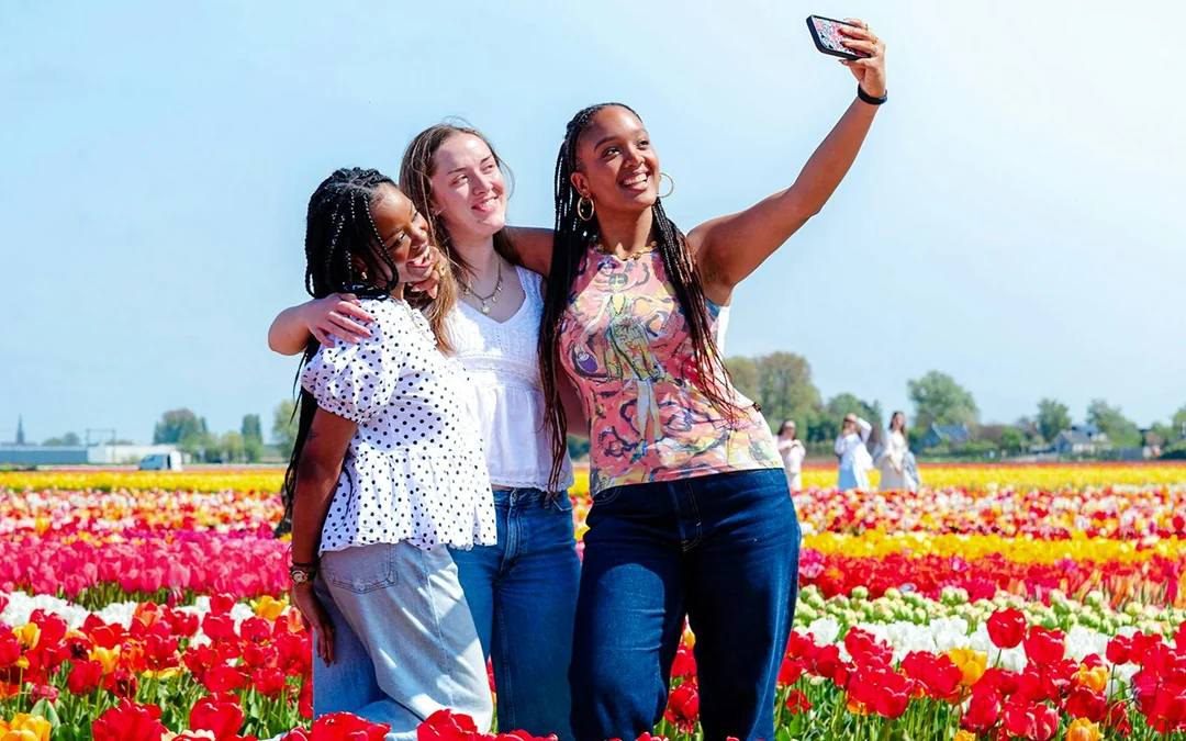 Tulip Experience Tickets with Tulip Fields Visit and Optional Transfers from Amsterdam Image 1