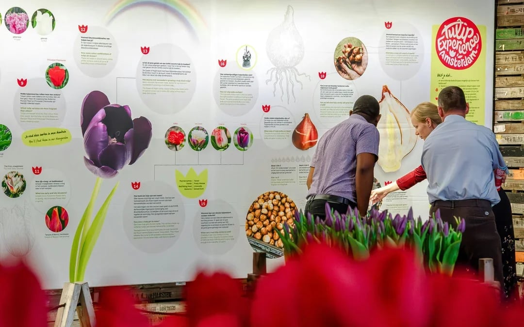 Tulip Experience Tickets with Tulip Fields Visit and Optional Transfers from Amsterdam Image 11