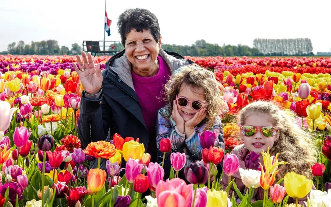 Tulip Experience Tickets with Tulip Fields Visit and Optional Transfers from Amsterdam Image 4