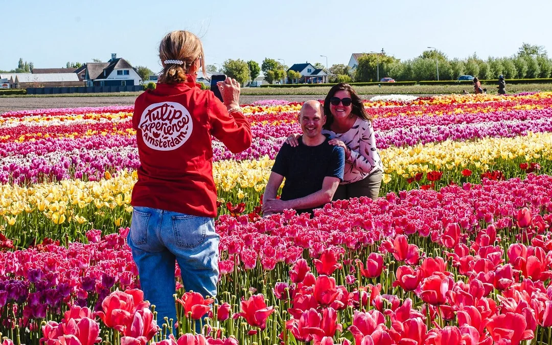 Tulip Experience Tickets with Tulip Fields Visit and Optional Transfers from Amsterdam Image 5