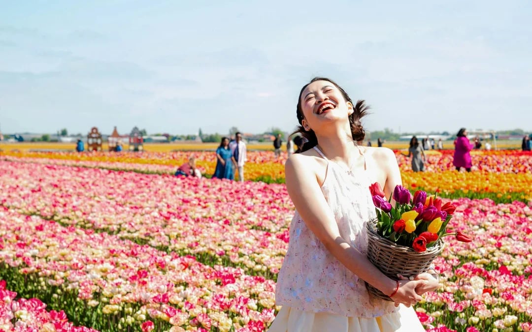 Tulip Experience Tickets with Tulip Fields Visit and Optional Transfers from Amsterdam Image 10