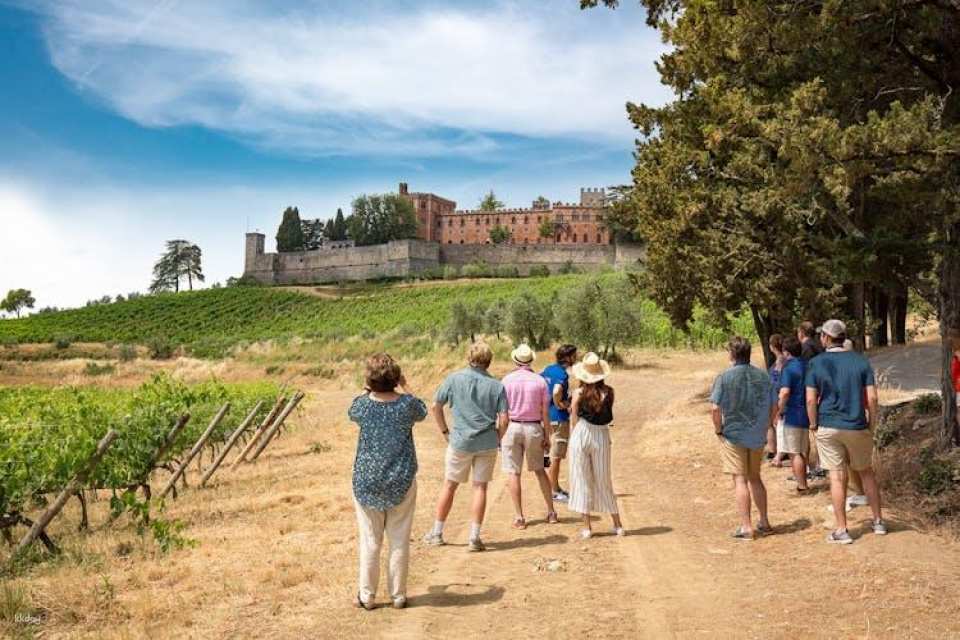 Tuscan day trip from Rome with lunch and wine tasting included