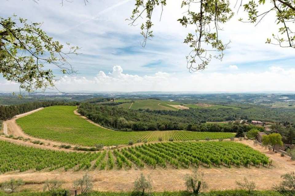 Tuscan day trip from Rome with lunch and wine tasting included