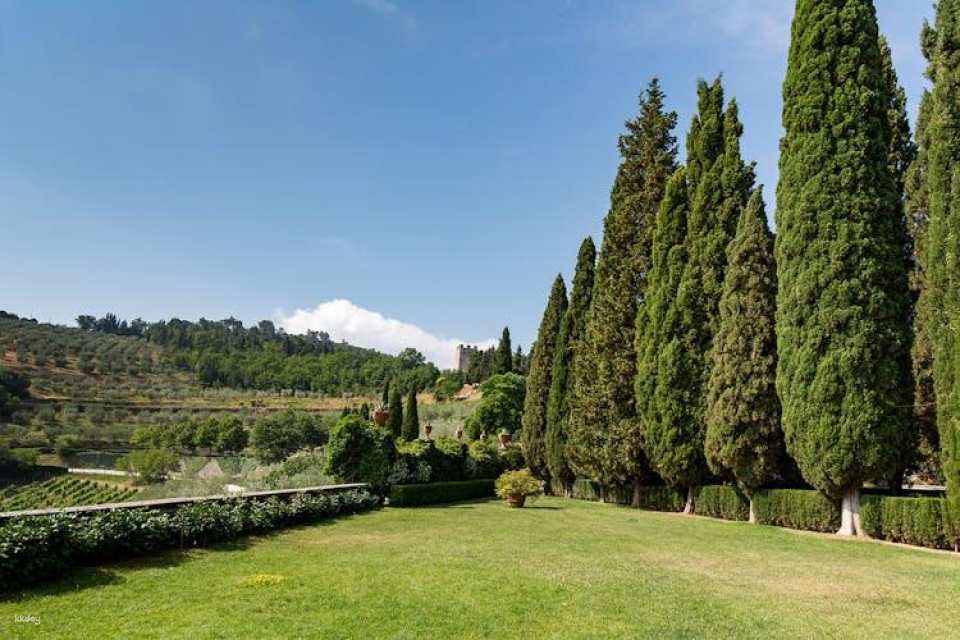 Tuscan day trip from Rome with lunch and wine tasting included