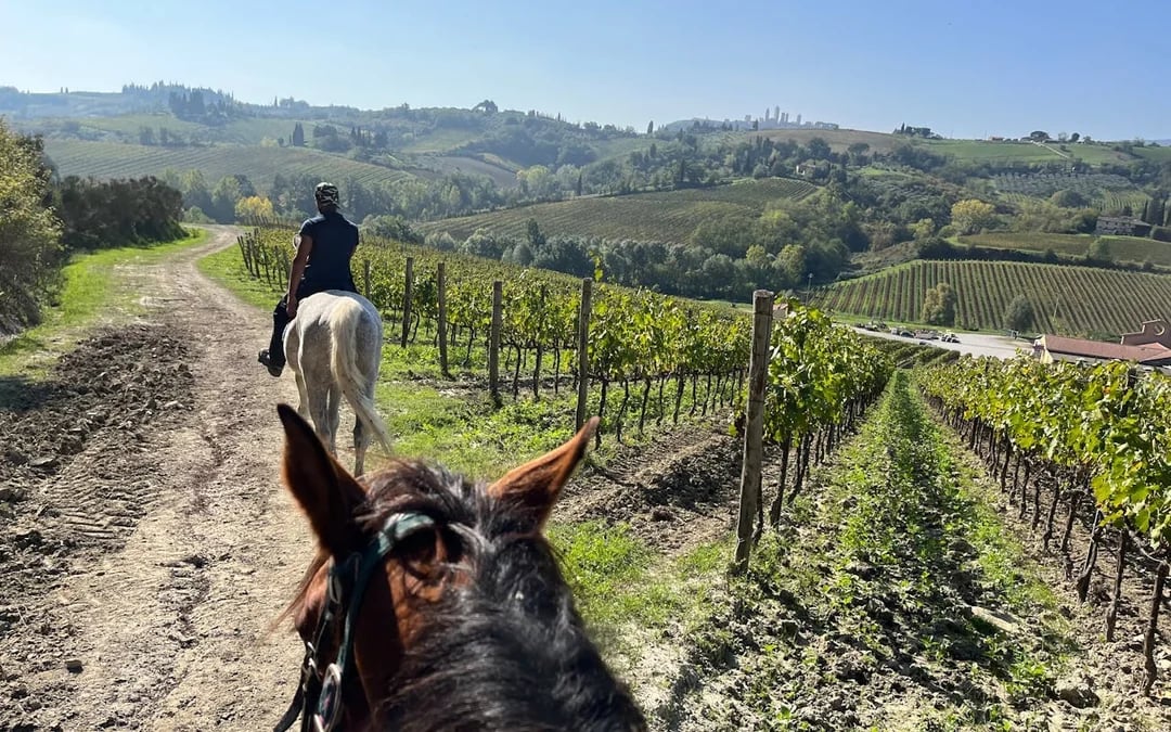 Tuscany Horseback Ride and Winery Tour with Lunch and Wine Tasting in Chianti Countryside Image 1