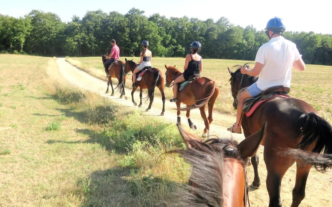 Tuscany Horseback Ride and Winery Tour with Lunch and Wine Tasting in Chianti Countryside Image 2