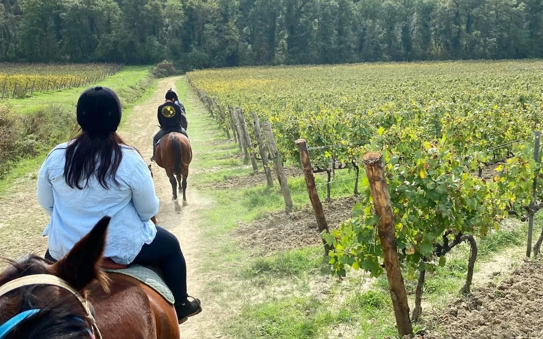 Tuscany Horseback Ride and Winery Tour with Lunch and Wine Tasting in Chianti Countryside Image 3