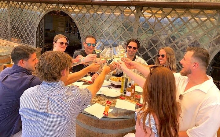 Tuscany Small-Group Wine Tour: 2 Wineries, Tastings, and San Gimignano Visit Image 10