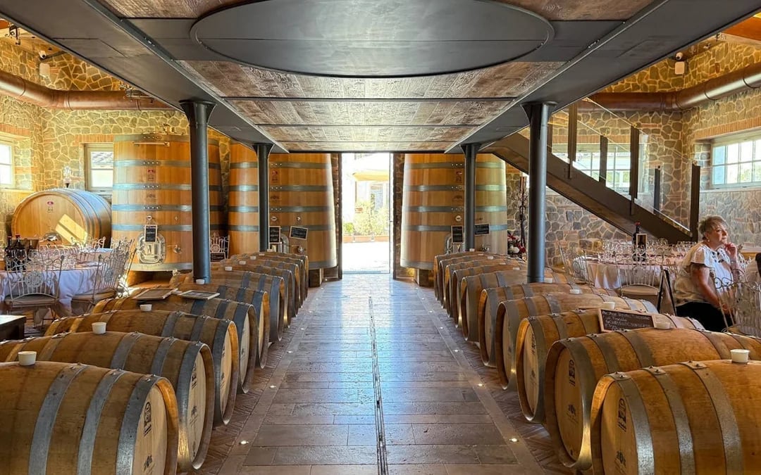 Tuscany Small-Group Wine Tour: Guided Tastings and Cellar Visits at Three Wineries Image 3