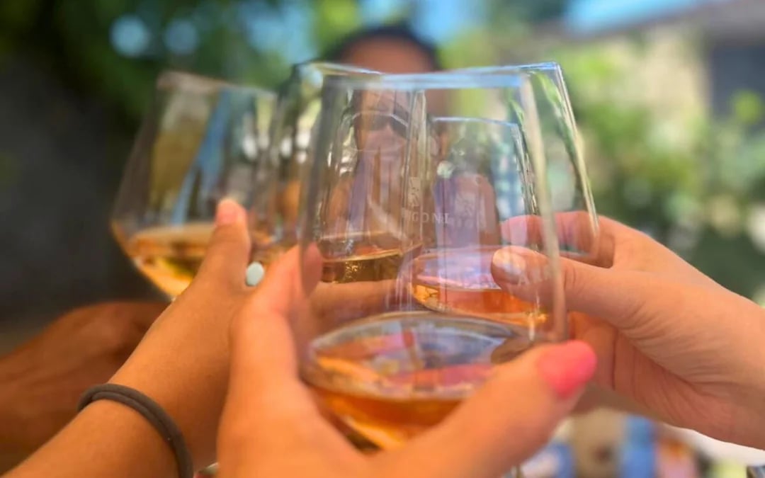 Tuscany Small-Group Wine Tour: Guided Tastings and Cellar Visits at Three Wineries Image 6
