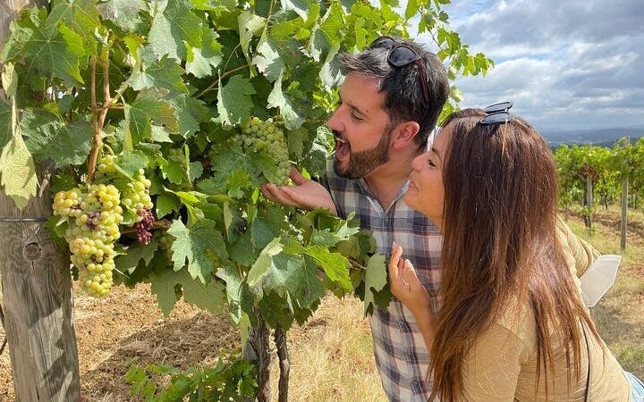 Tuscany Tuk Tuk Wine Tour with Local Guide, Traditional Lunch, and Premium Wine Tasting Image 7