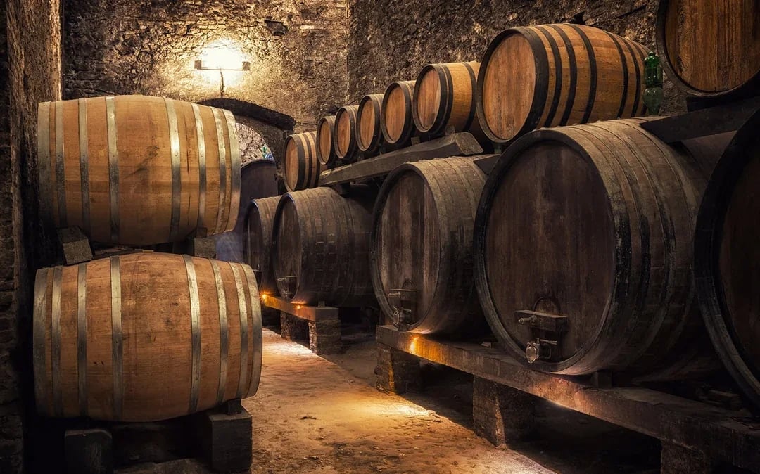 Tuscany Wine and Olive Oil Trail: Small-Group Tour From Florence Image 3