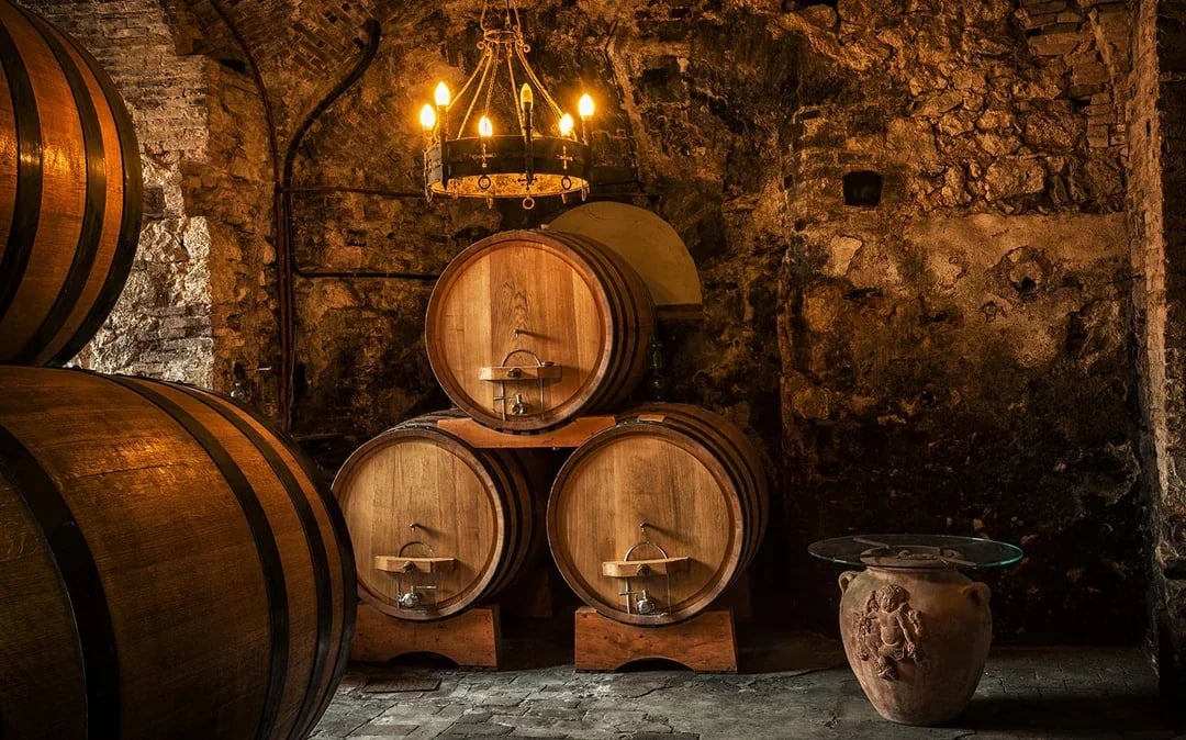 Tuscany Wine and Olive Oil Trail: Small-Group Tour From Florence Image 5