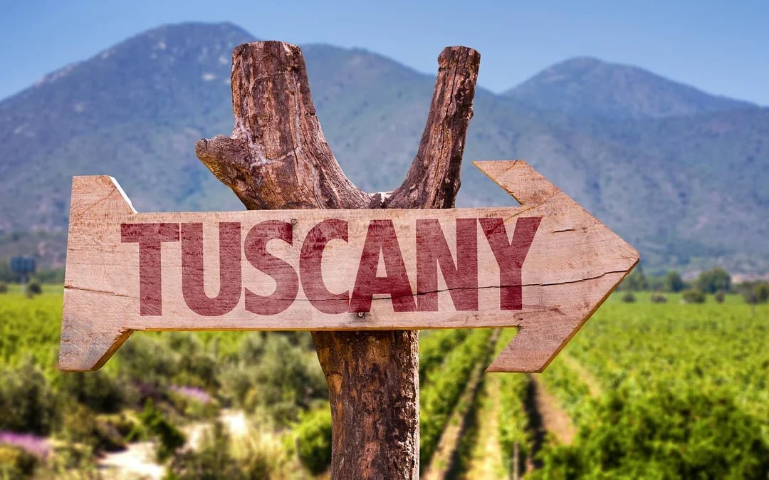 Tuscany Wine and Olive Oil Trail: Small-Group Tour From Florence Image 7