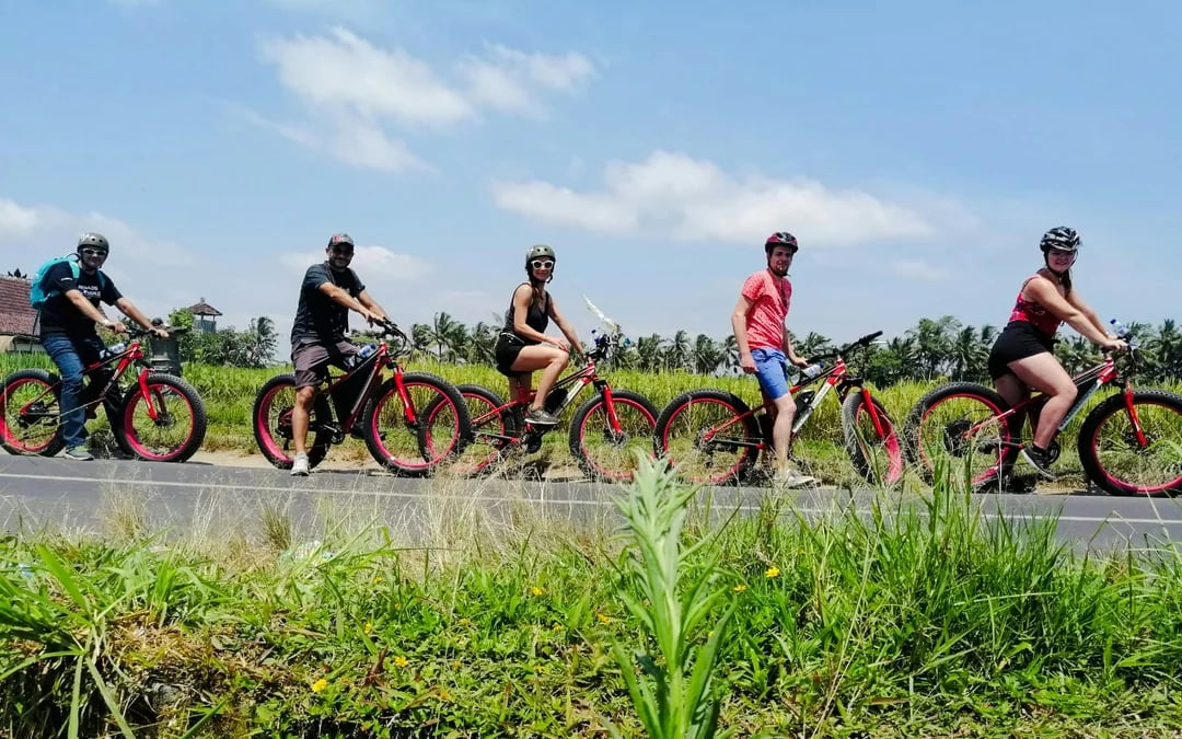 Ubud E-Bike Guided Tour to Tegallalang Rice Terraces Image 5