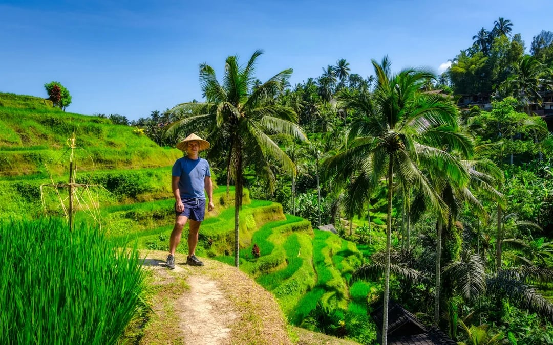 Ubud Highlights Private Tour with Entry Fees Included: Monkey Forest, Tirta Empul, Waterfall & Rice Terrace Image 1