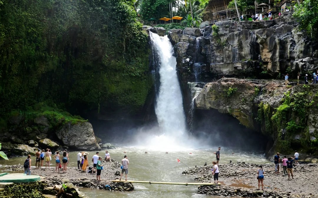 Ubud Highlights Private Tour with Entry Fees Included: Monkey Forest, Tirta Empul, Waterfall & Rice Terrace Image 2
