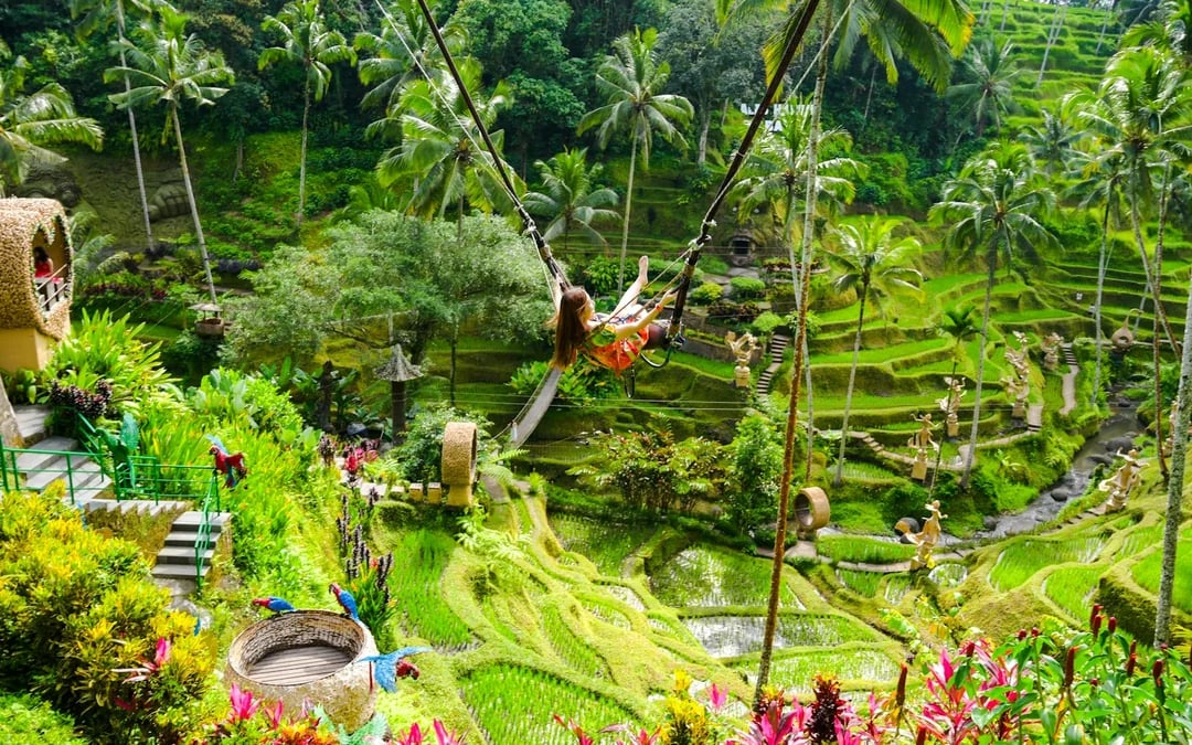 Ubud Highlights Private Tour with Entry Fees Included: Monkey Forest, Tirta Empul, Waterfall & Rice Terrace Image 7