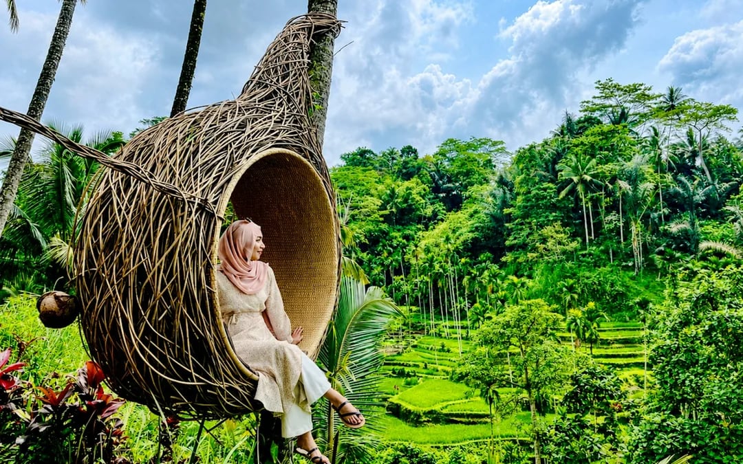 Ubud Private Rice Terrace Zipline, Sky Bike and Jungle Swings Image 1
