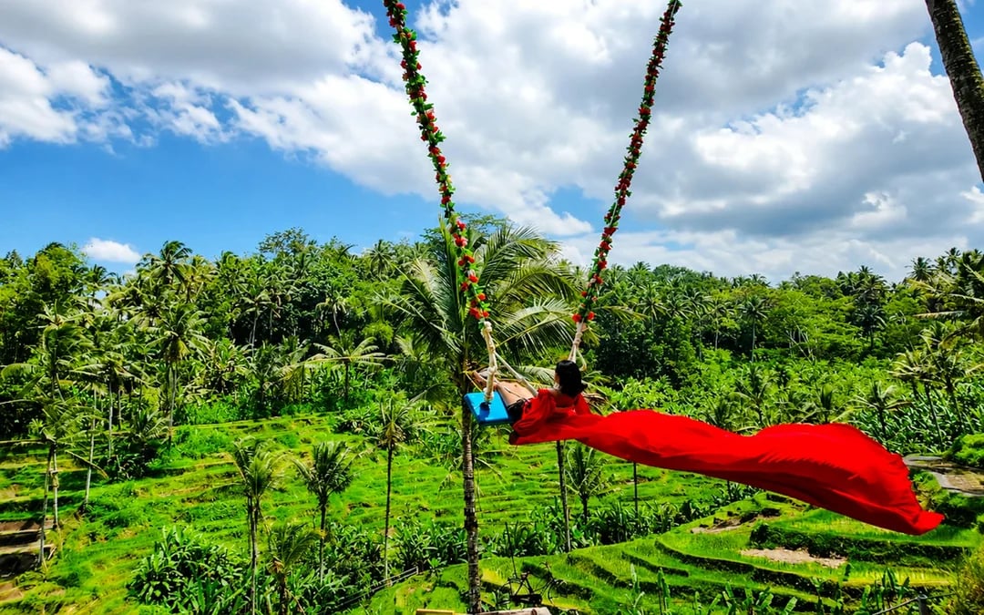 Ubud Private Rice Terrace Zipline, Sky Bike and Jungle Swings Image 6