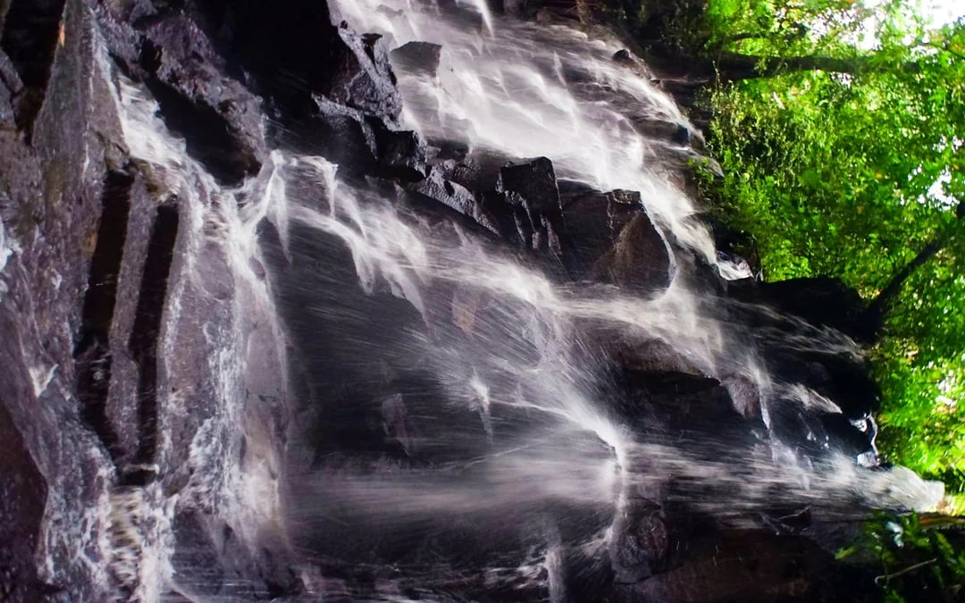 Ubud Private Tour: Tibumana and Kanto Lampo Waterfalls, Tirta Empul Water Temple, and Tegalalang Rice Terraces Image 3