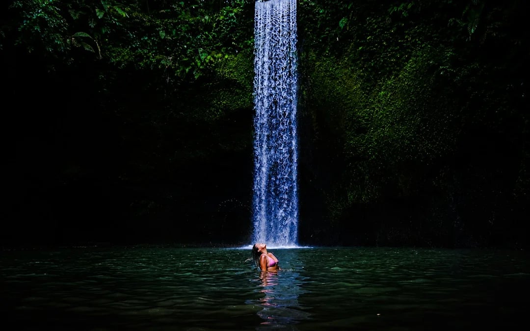 Ubud Private Tour with Tickets: Ubud Monkey Forest, Tegalalang Rice Terrace and Waterfalls Image 1
